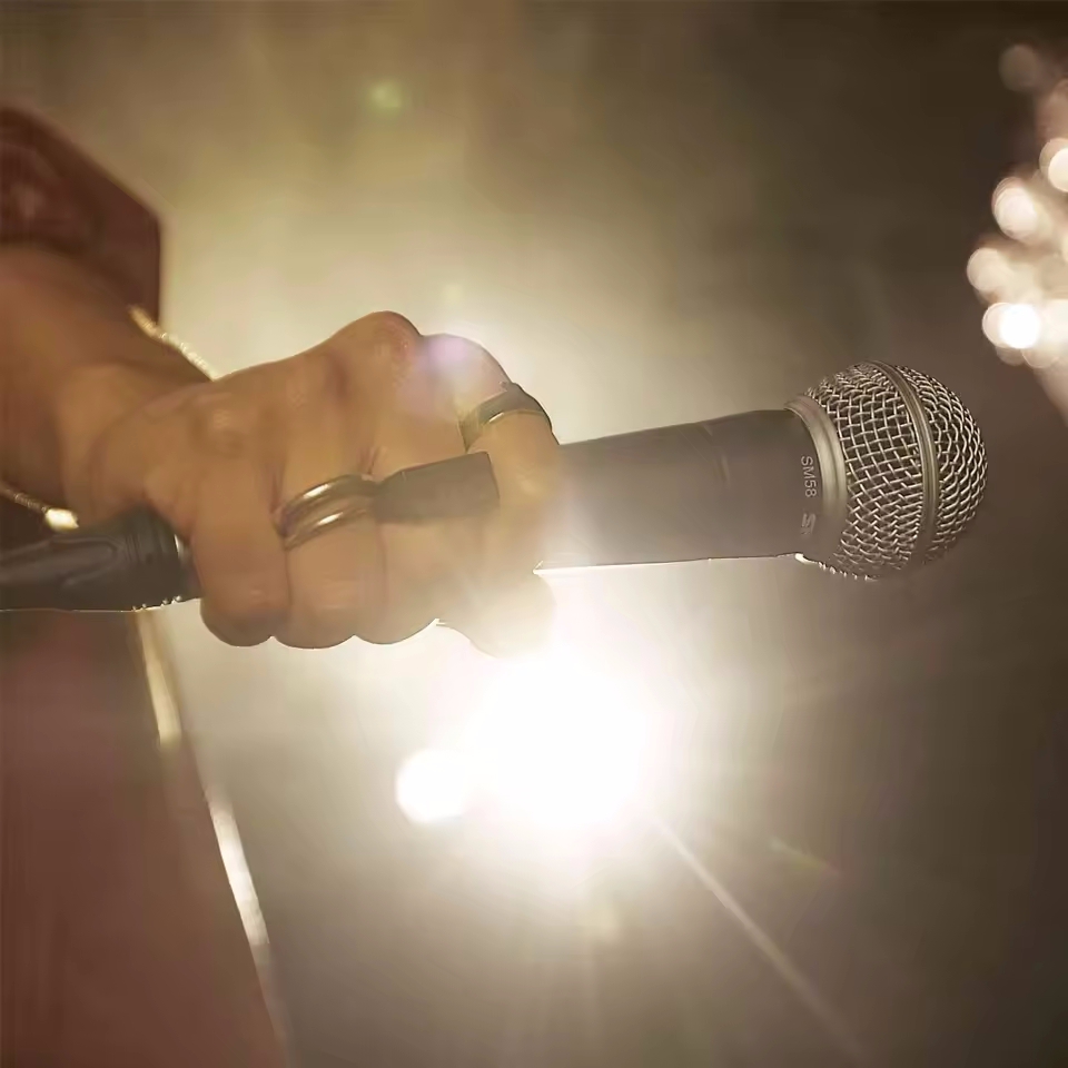 Karaoke Dynamische Microfoon P - Pc Gaming Live Streaming recensie en prijs